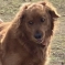 rgc73's Avatar